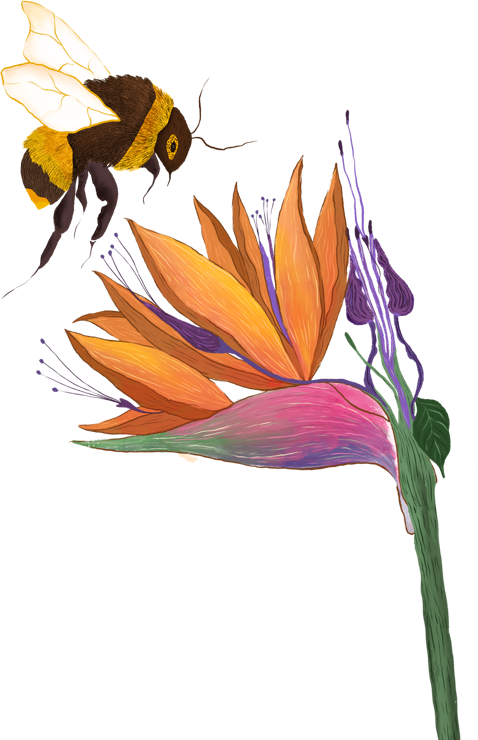 Nature Alive - Rewild Yourself